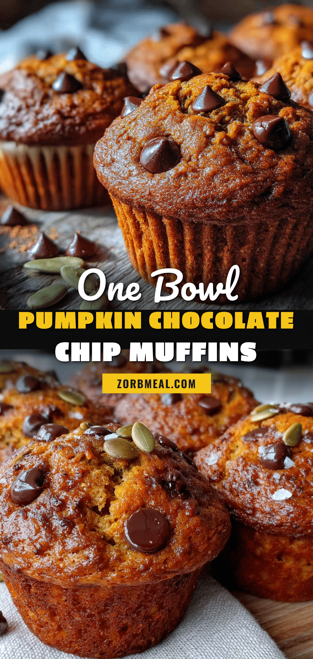 pumpkin chocolate chip muffins recipe